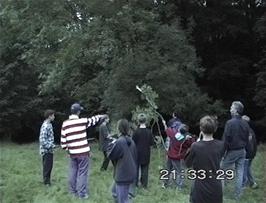 Desperate attempts to retrieve the Aerobie from the treetops